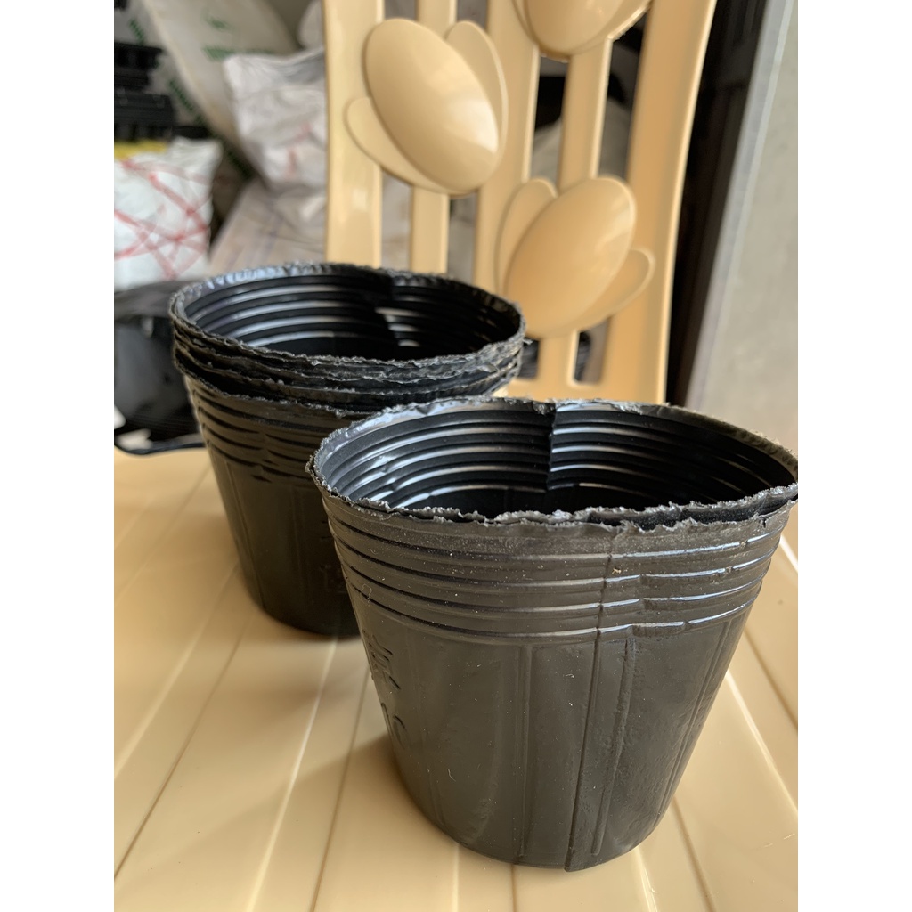 BẦU ƯƠM CÂY 12*10 ( DỊCH TRUYỀN CHO CÂY, KÍCH RỄ , MẦM CÂY XANH LÁ, LƯỚI CHE NẮNG...)