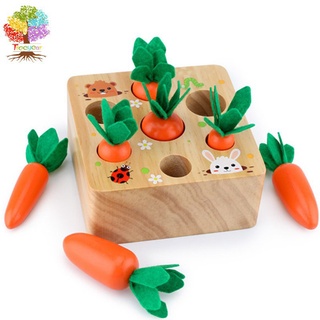TreeYear Montessori Hình dạng Kích thước Sắp xếp Câu đố Cà rốt Thu hoạch Quà tặng phát triển cho kỹ năng động cơ tốt Đồ chơi bằng gỗ cho bé trai 1 tuổi và cô gái (cà rốt thu hoạch)