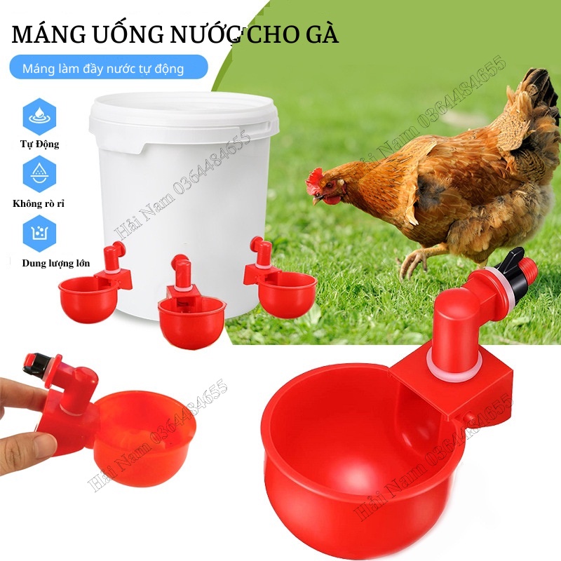 Máng Uống Nước Tự Động Cho Gà Vịt Loại To, Cốc Uống Nước Tự Động Lắp Thùng Sơn Cho Gia Câm