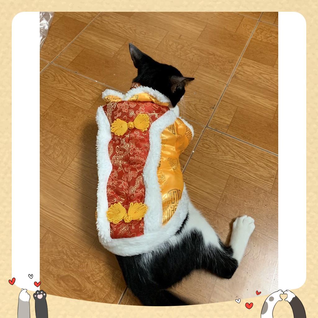 Áo cosplay Hoàng Thượng siêu cute cho boss