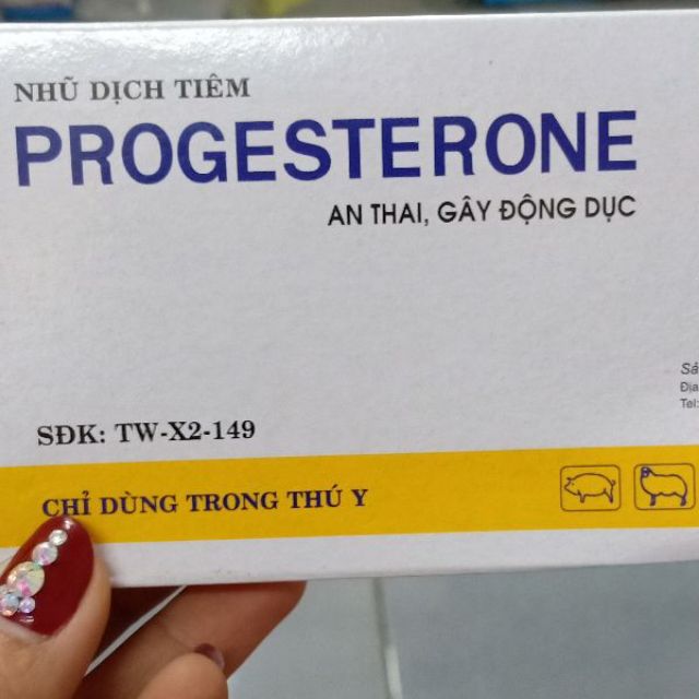 1ống Progesterone An Thai, gây động dục chó mèo lợn