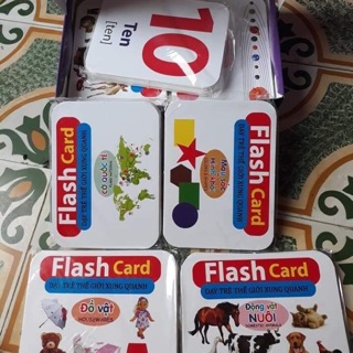 Combo bộ thẻ thế giới xung quanh 14 chủ đề 280 thẻ