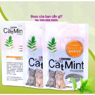 Cỏ bạc hà catnip cho mèo - cỏ mèo