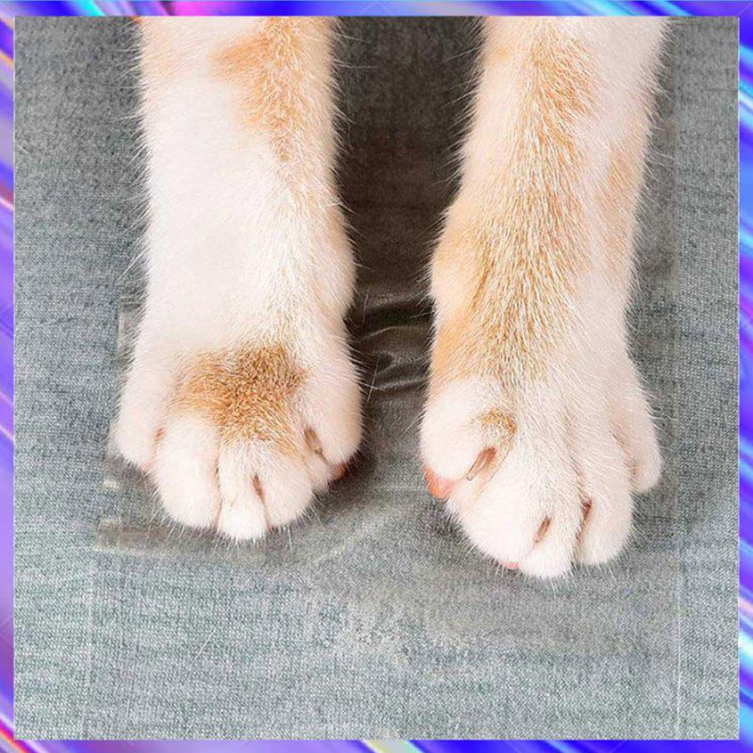 Cat Scratch-proof Sofa Protective Transparent Small Tape Sofa Pet Supplies