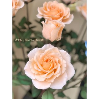 Hoa Hồng Đất Sét Nhật Handmade