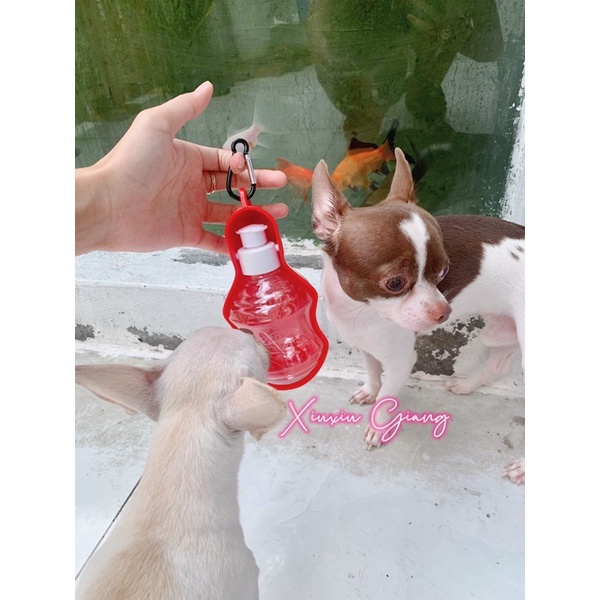 Bình Nước Du Lịch Chó Mèo Tiện Lợi - Xiuxiu Giang