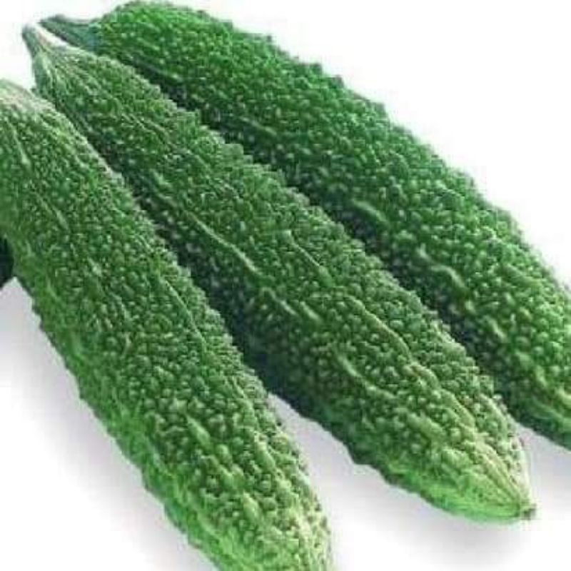 Hạt giống khổ qua, mướp đắng xanh đậm trái dài TN 10 hạt