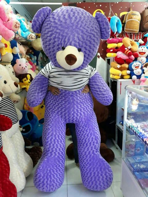 Gấu bông teddy khổ vải 2M cao 1m8