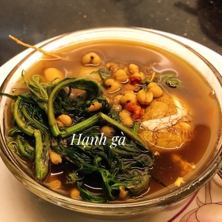 Gói Hầm gà, chim câu đủ vị