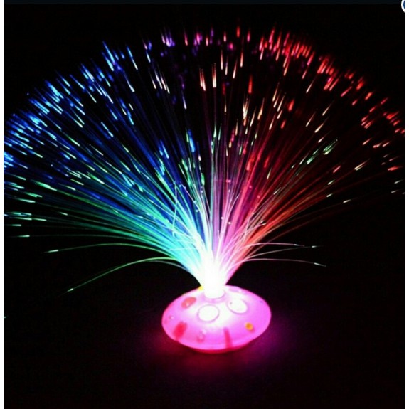 Sỉ 50  ĐÈN LED BÌNH HOA PHÁT SÁNG SỢI QUANG