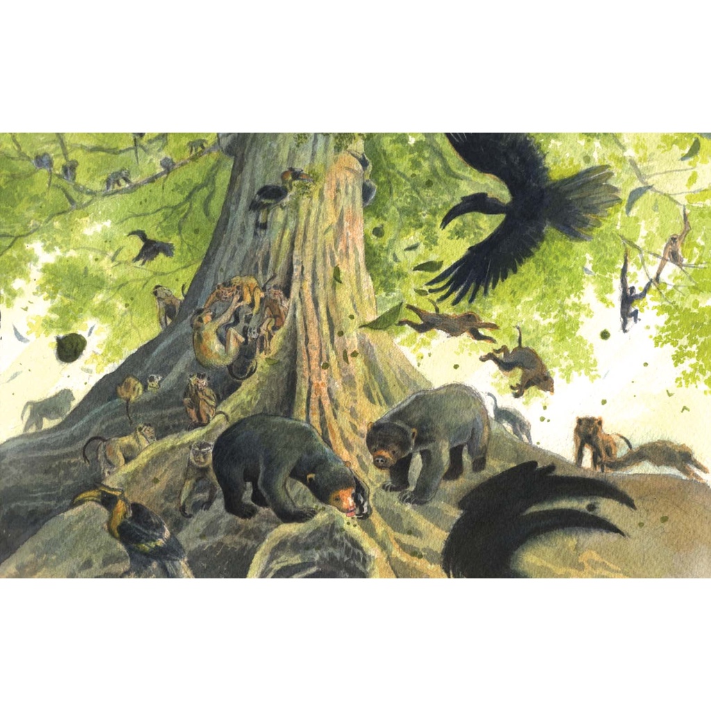 Sách Boxset Chang Hoang Dã (Bộ 2 Quyển) - Bản Đặc Biệt - Tặng Kèm Bộ 5 Postcard