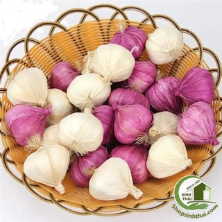 Củ tỏi trắng và củ hành tím giả - Phụ kiện trái cây, rau củ quả trang trí chụp hình ảnh sản phẩm cao cấp