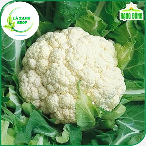 Hạt giống Bông Cải Trắng Lai F1 (Súp lơ trắng) (gói 0,5 gram)- Hạt giống Rạng Đông