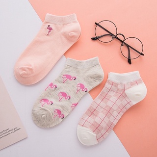 Combo 3 đôi vớ nữ HQ