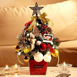 cây thông noel mini