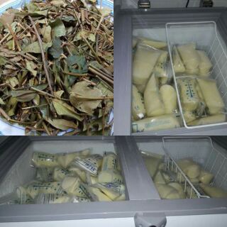 1kg Chè vằng sẻ giảm cân lợi sữa