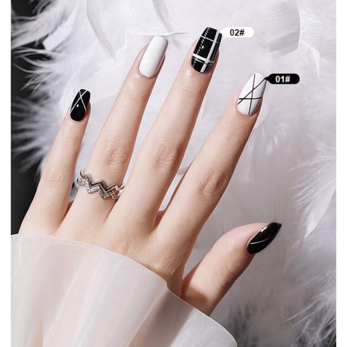 Gel Vẽ Cọ Nét AS Cao Cấp | Hàng Loại 1 | 12 Màu