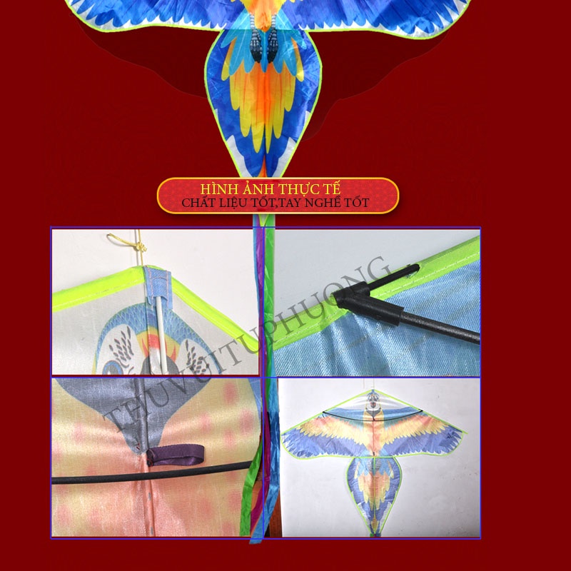 DIỀU VẸT-DIỀU HÌNH CON VẸT