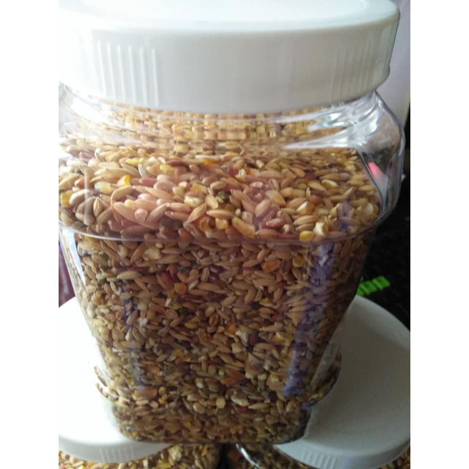 Hũ 1 kg ngũ cốc thức ăn chim bồ câu , gà tre