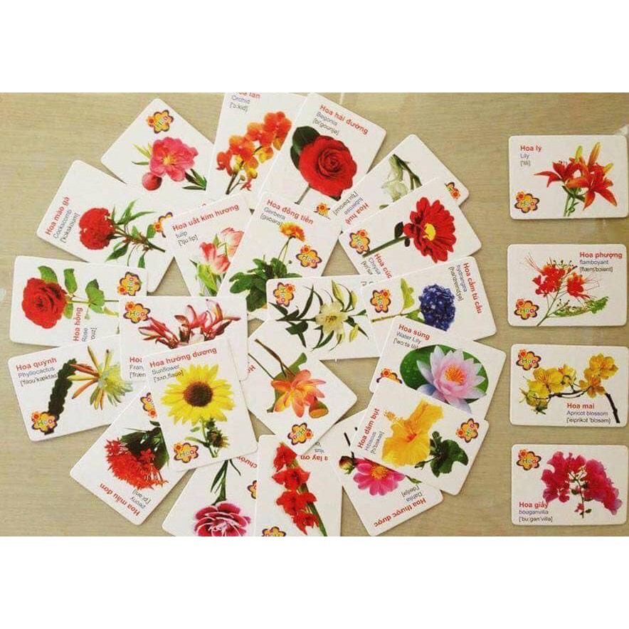 Bộ thẻ học 16 chủ đề 416 thẻ học thông minh cho bé