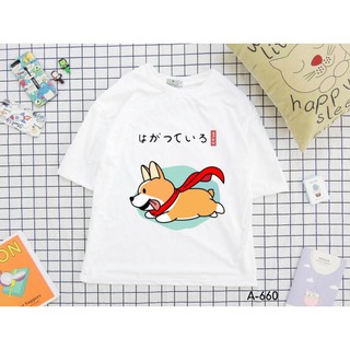 SIÊU HOT -  Áo thun hình Corgi bay