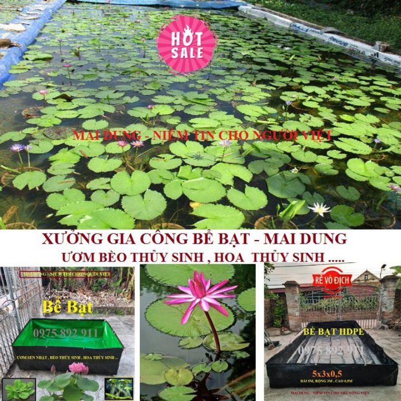 Bể cá cảnh mini bằng bạt 100cmx50cmx20cm