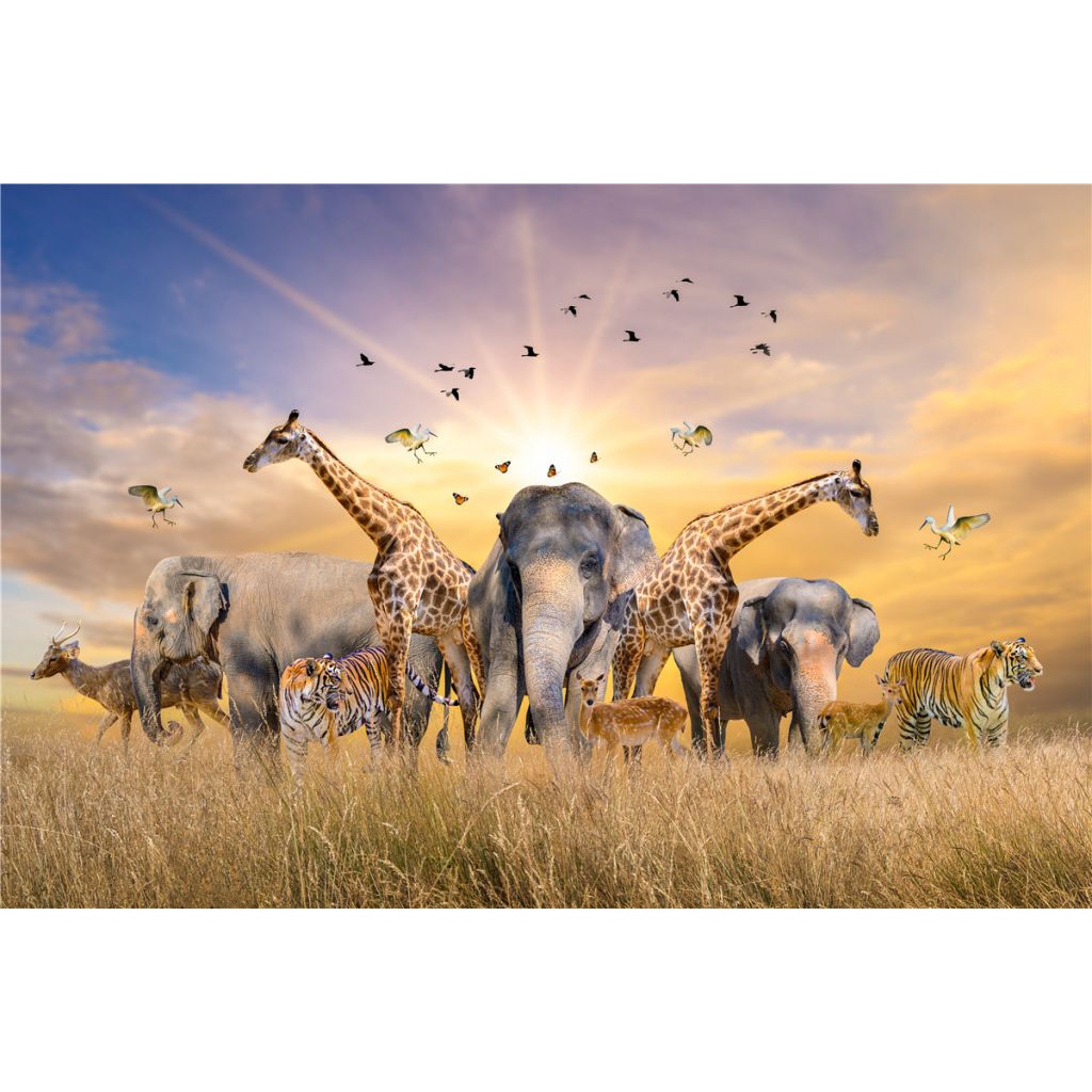 Có sẵn Trò Chơi Ghép Hình câu đố 500 miếng dành cho người lớn trẻ em lắp ráp trò chơi ghép hình câu đố của trẻ em Trò chơi giáo dục đồ chơi COD