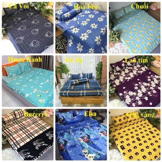 Bộ ga + 2 gối  cotton poly cute 1m6 - 1m8