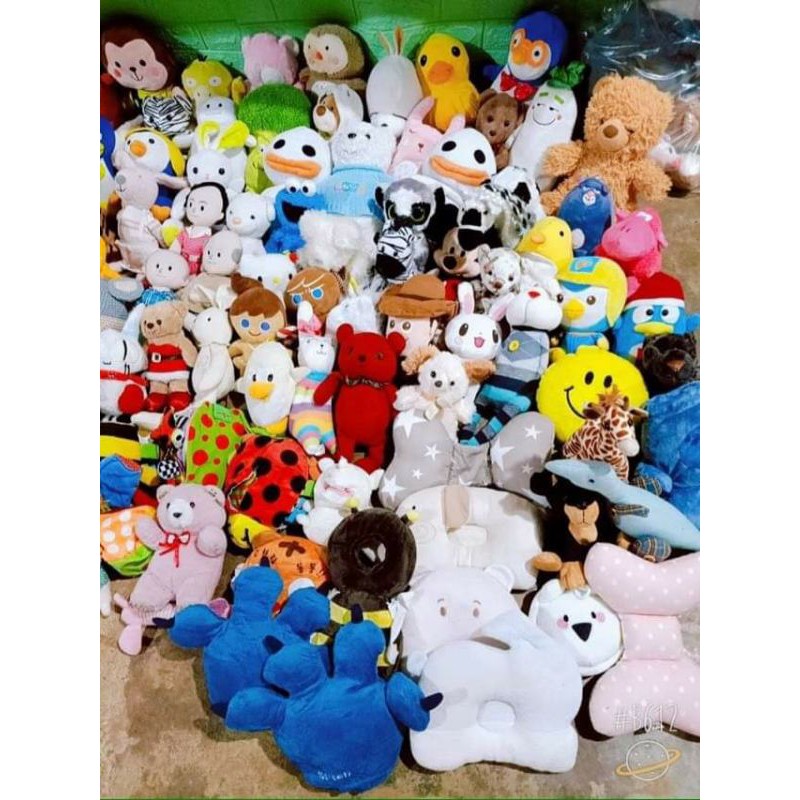 Gấu bông các loại