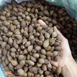 1kg đười ươi  bay