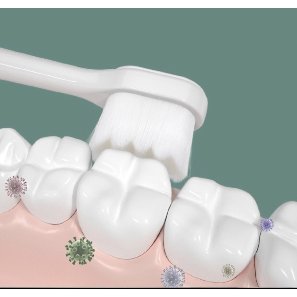 Combo 2 Bàn Chải Đánh Răng Lông Mềm Siêu Mảnh Thiết Kế Hoạt Hình Cho Bé, Shop Bố Sam, An Toàn, Chất Lượng Cao Cấp