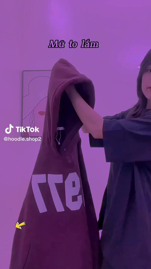 Áo Hoodie 1977 Nam Nữ Form Rộng, Áo Nỉ Hoodie Unisex Chất Liệu Nỉ Bông Phong Cách Hàn Quốc | BigBuy360 - bigbuy360.vn