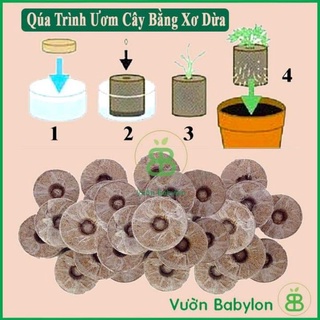 10 viên nén sơ dừa ươm hạt