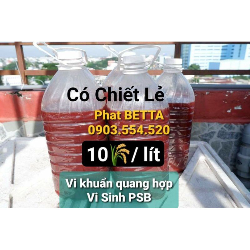 1 lít PSB vi sinh khuẩn quang hợp. TRONG NƯỚC. KHỎE CÁ