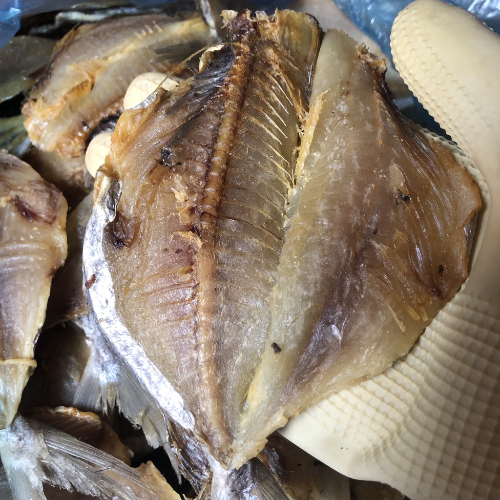 Khô cá đội đèn/ Cá sứa khô mặn dày thịt