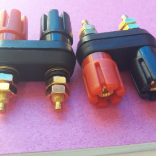 Cọc loa bắp chuối đôi