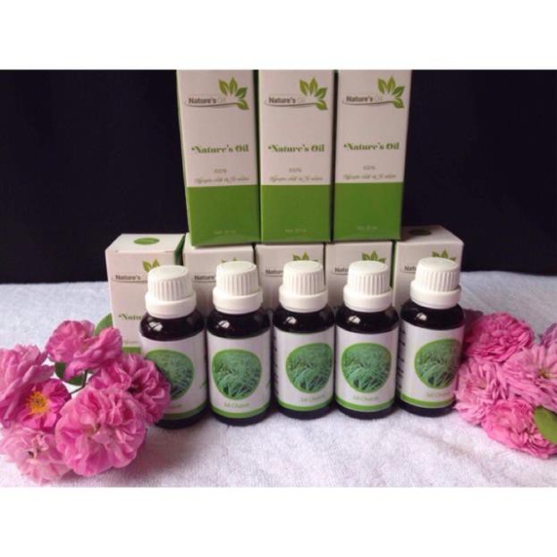 Tinh dầu sả chanh - Viện KHCN VN