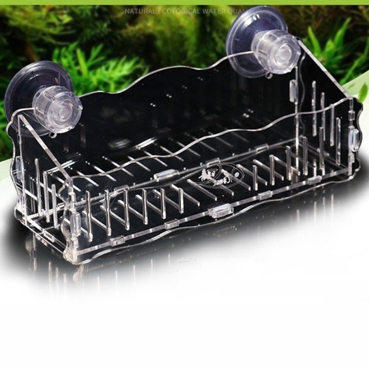 Box Trồng Cây Acrylic | Box Lắp Ghép Đa Năng