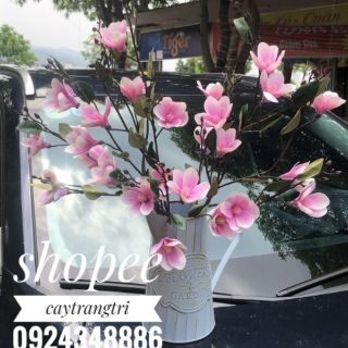 🌸 Hoa Mộc Lan Cao Su Trang Trí