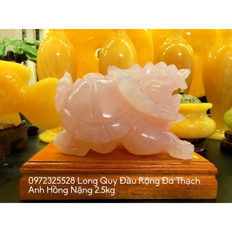 Long Quy ( Rùa ) Đầu Rồng Đá Tự Nhiên Phong Thuỷ