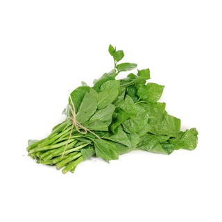 HẠT GIỐNG MỒNG TƠI(CHẤT LƯỢNG-UY TÍN)