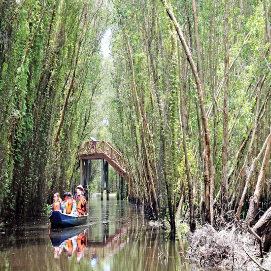 [EVoucher Vietravel] Long An - Khám Phá Con Đường Xuyên Rừng Tràm Tân Lập