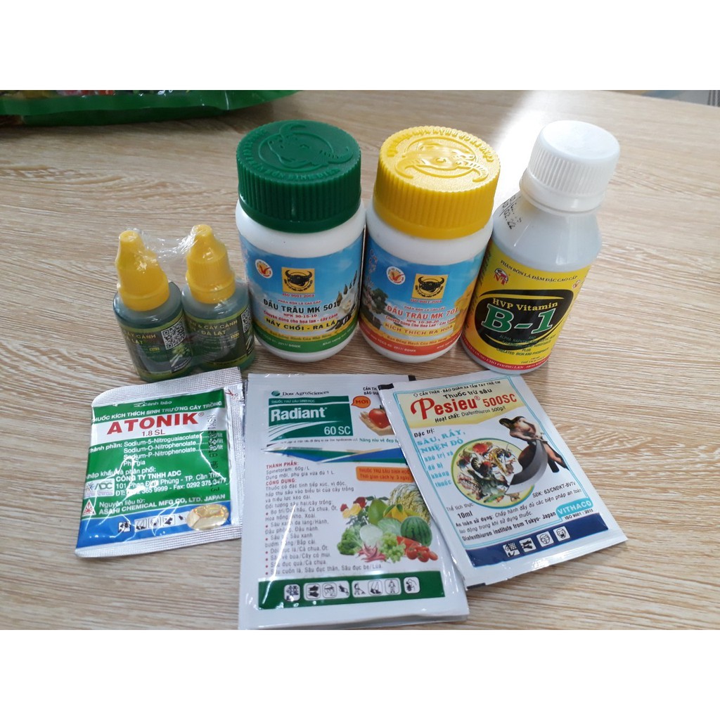 Combo chăm sóc và trị bệnh cho hoa hồng
