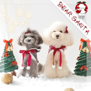 Áo choàng Noel cho thú cưng