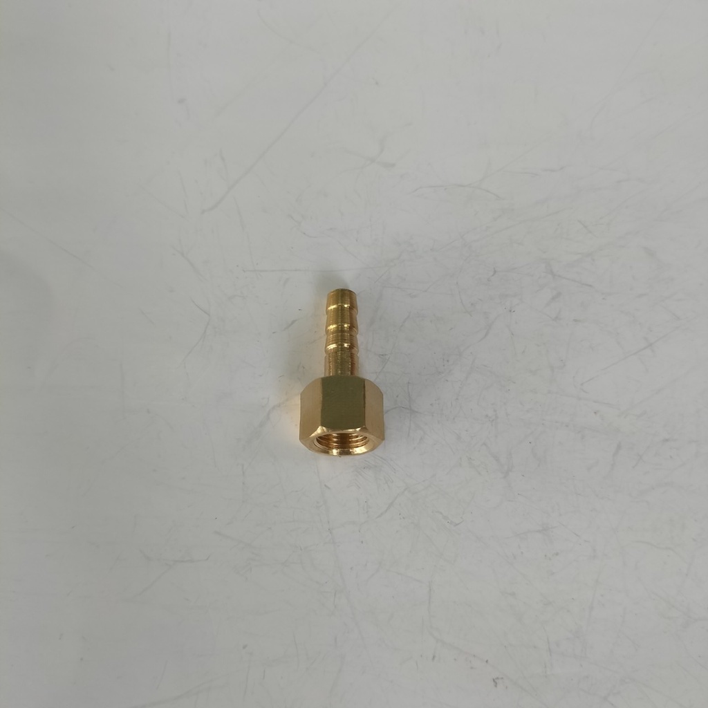 Đầu nối ren trong 9.6mm đuôi chuột 6, 8, 10mm