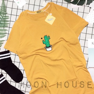 Combo 6 áo thun tay ngắn - hình thật shop tự chụp