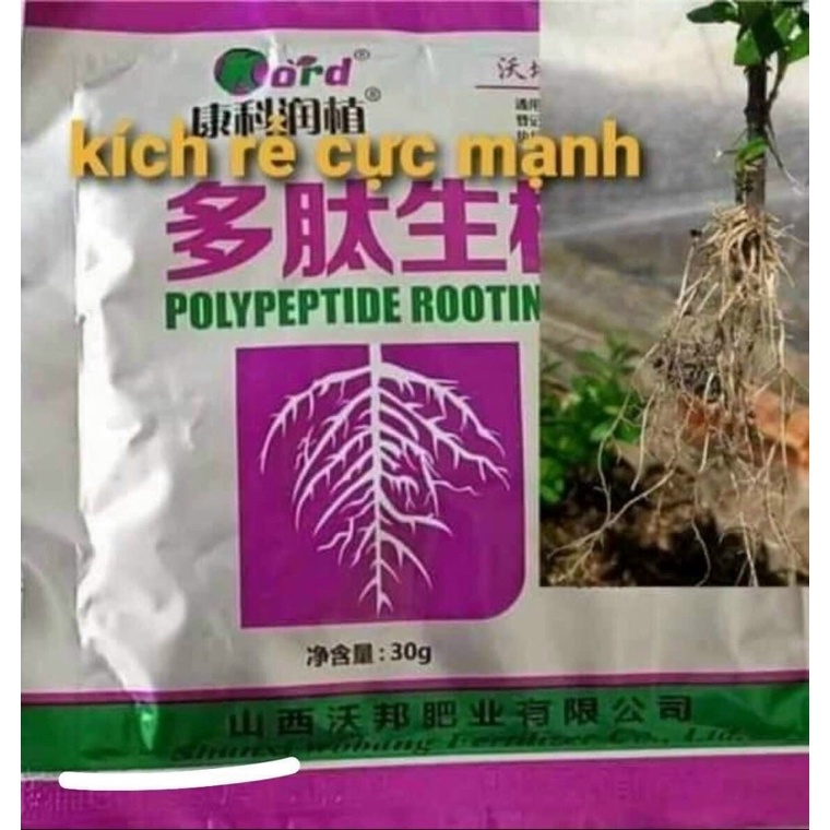 Thuốc kích rễ và ươm cành hoa hồng, hoa mộc, hoa lan, đào
