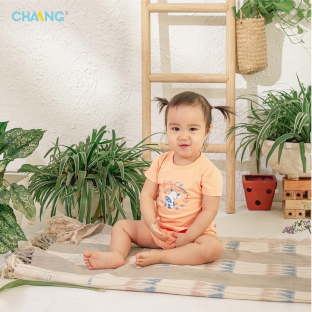 BỘ CỘC CÚC VAI