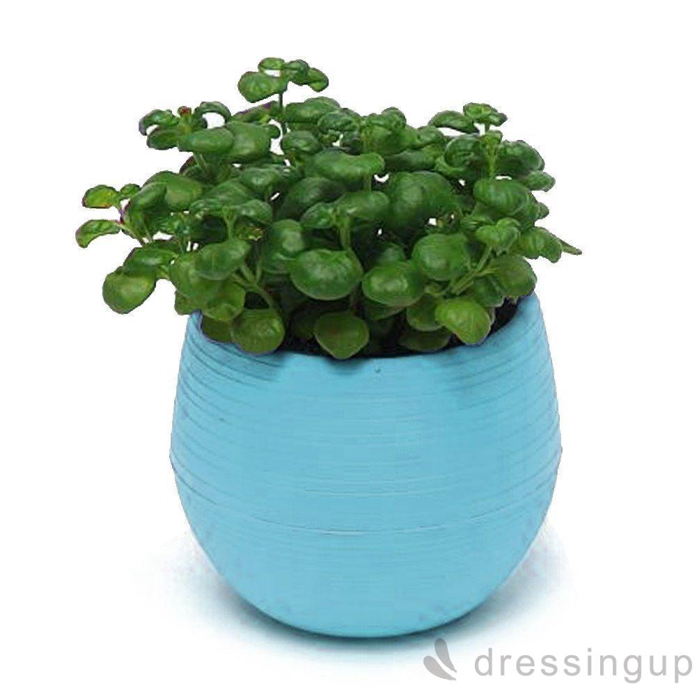 Chậu hoa mini bằng nhựa thiết kế nhiều màu sắc tinh tế chất lượng cao