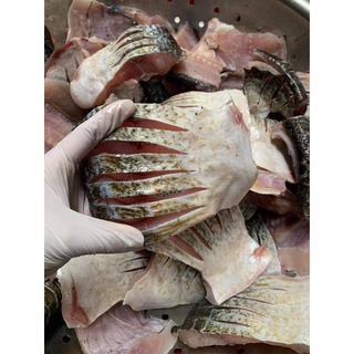 1kg cá mef làm thính chua ngon
